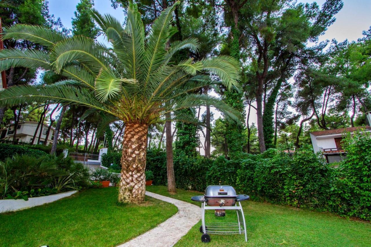 סאני ביץ' Muses Villas Resort מראה חיצוני תמונה